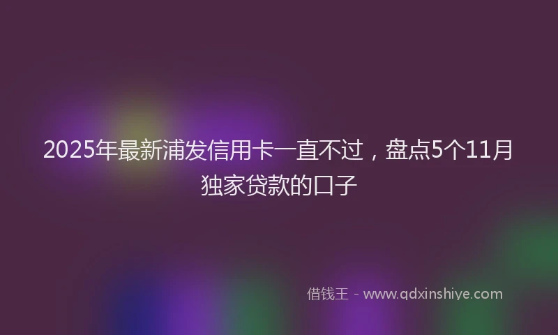 2025年最新浦发信用卡一直不过，盘点5个11月独家贷款的口子