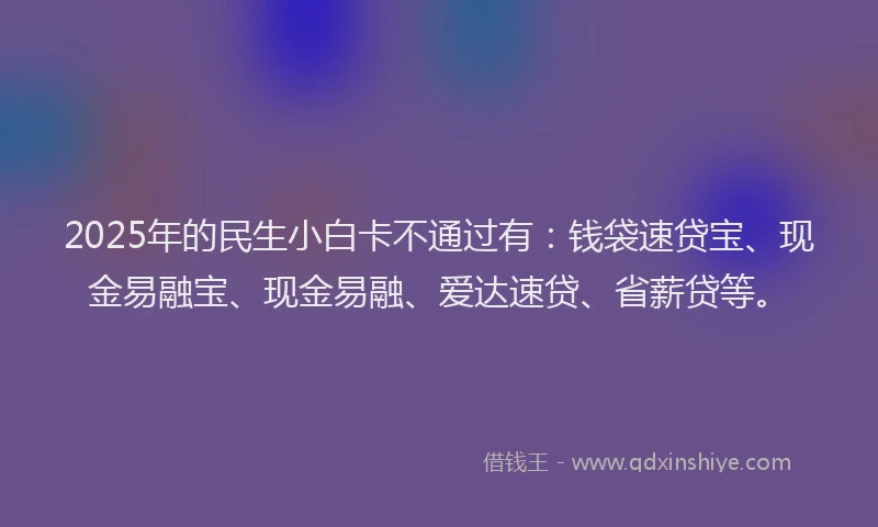 2025年的民生小白卡不通过有：钱袋速贷宝、现金易融宝、现金易融、爱达速贷、省薪贷等。