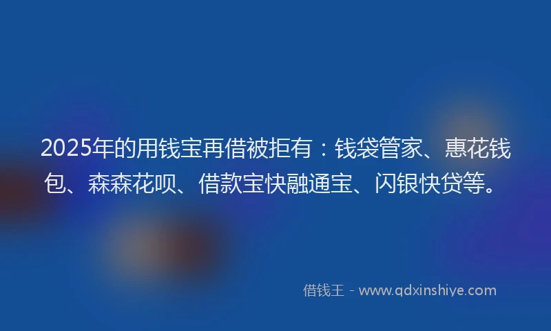 2025年的用钱宝再借被拒有：钱袋管家、惠花钱包、森森花呗、借款宝快融通宝、闪银快贷等。