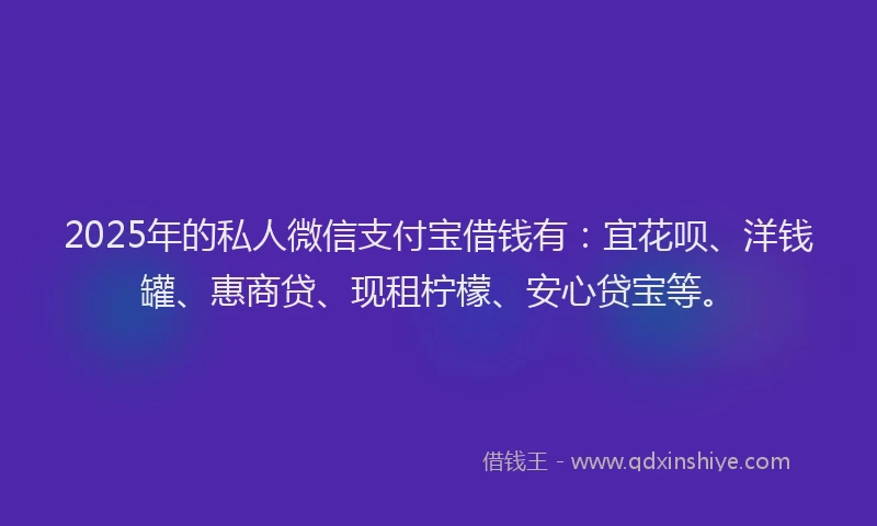 2025年的私人微信支付宝借钱有：宜花呗、洋钱罐、惠商贷、现租柠檬、安心贷宝等。