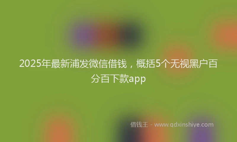 2025年最新浦发微信借钱，概括5个无视黑户百分百下款app