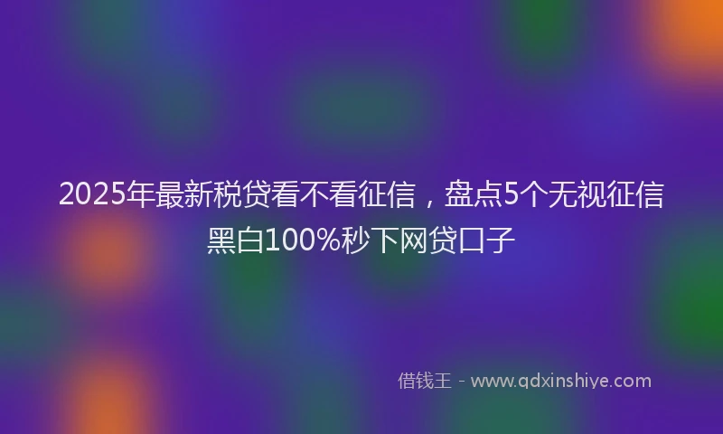 2025年最新税贷看不看征信，盘点5个无视征信黑白100%秒下网贷口子