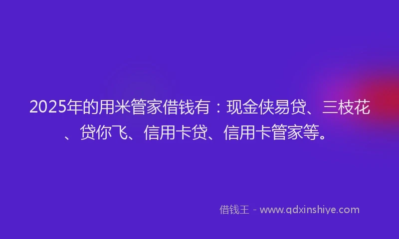 2025年的用米管家借钱有：现金侠易贷、三枝花、贷你飞、信用卡贷、信用卡管家等。