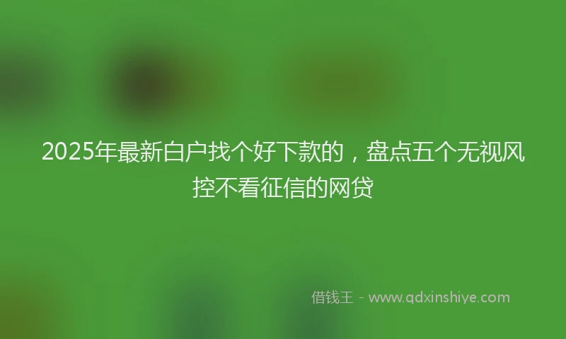 2025年最新白户找个好下款的，盘点五个无视风控不看征信的网贷