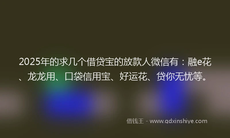 2025年的求几个借贷宝的放款人微信有：融e花、龙龙用、口袋信用宝、好运花、贷你无忧等。