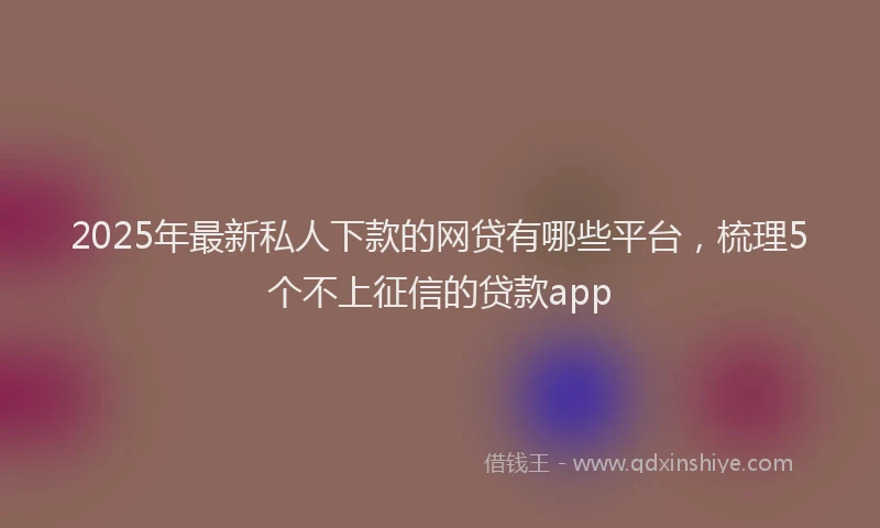 2025年最新私人下款的网贷有哪些平台，梳理5个不上征信的贷款app