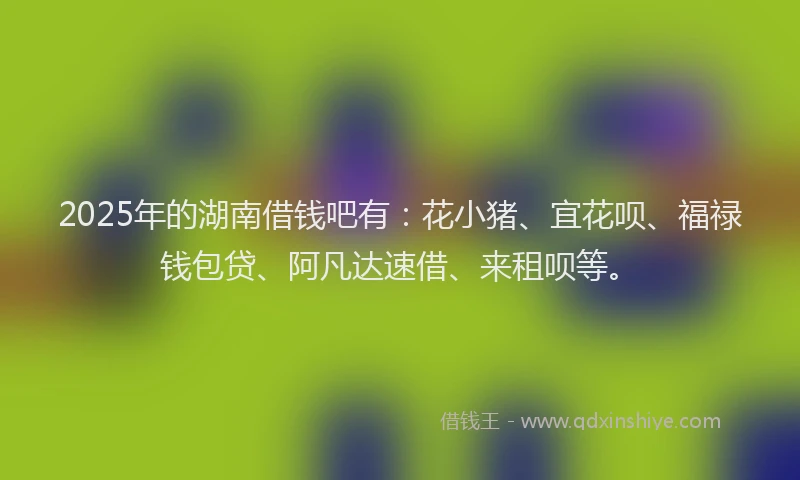 2025年的湖南借钱吧有：花小猪、宜花呗、福禄钱包贷、阿凡达速借、来租呗等。