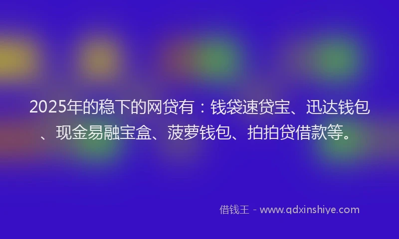 2025年的稳下的网贷有：钱袋速贷宝、迅达钱包、现金易融宝盒、菠萝钱包、拍拍贷借款等。