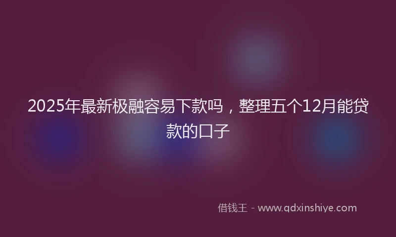 2025年最新极融容易下款吗，整理五个12月能贷款的口子