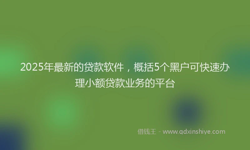 2025年最新的贷款软件，概括5个黑户可快速办理小额贷款业务的平台