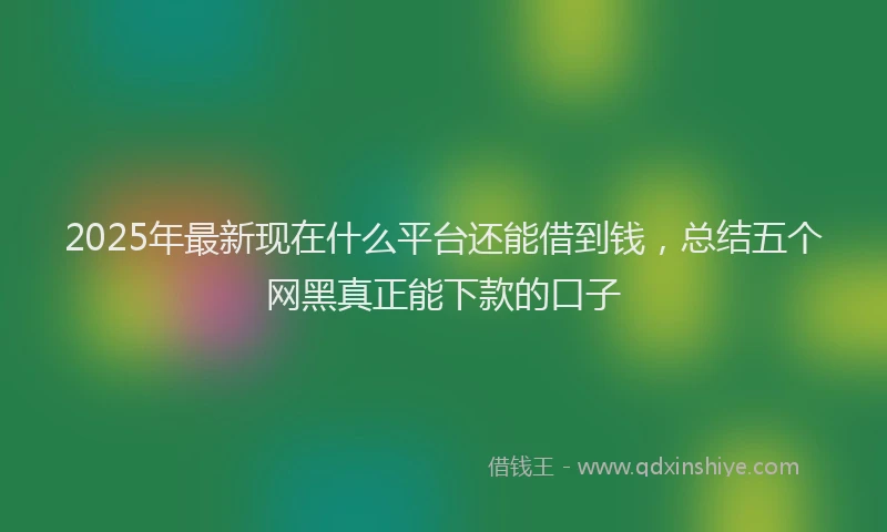 2025年最新现在什么平台还能借到钱，总结五个网黑真正能下款的口子