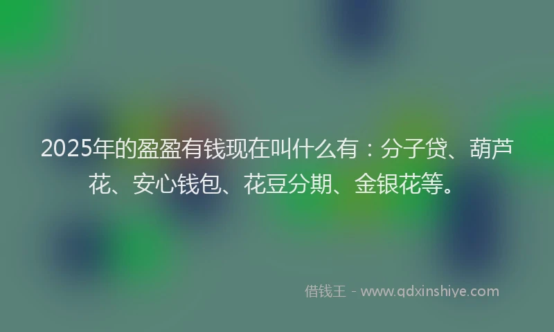 2025年的盈盈有钱现在叫什么有：分子贷、葫芦花、安心钱包、花豆分期、金银花等。