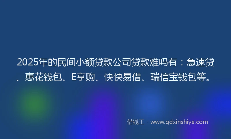 2025年的民间小额贷款公司贷款难吗有：急速贷、惠花钱包、E享购、快快易借、瑞信宝钱包等。
