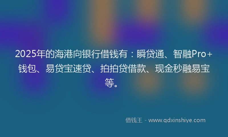 2025年的海港向银行借钱有：瞬贷通、智融Pro+钱包、易贷宝速贷、拍拍贷借款、现金秒融易宝等。