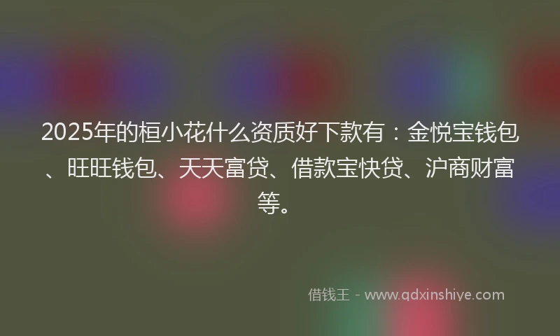 2025年的桓小花什么资质好下款有：金悦宝钱包、旺旺钱包、天天富贷、借款宝快贷、沪商财富等。