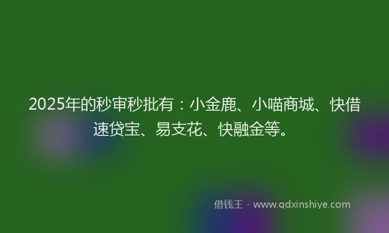 2025年的秒审秒批有：小金鹿、小喵商城、快借速贷宝、易支花、快融金等。