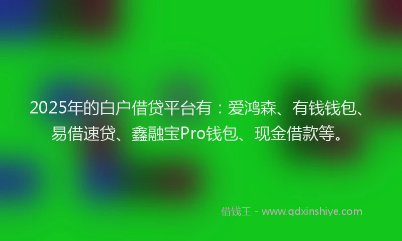 2025年的白户借贷平台有：爱鸿森、有钱钱包、易借速贷、鑫融宝Pro钱包、现金借款等。