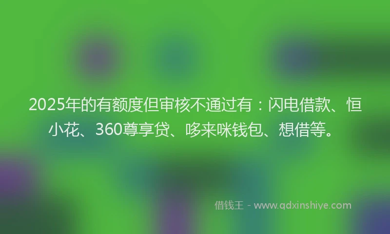 2025年的有额度但审核不通过有：闪电借款、恒小花、360尊享贷、哆来咪钱包、想借等。
