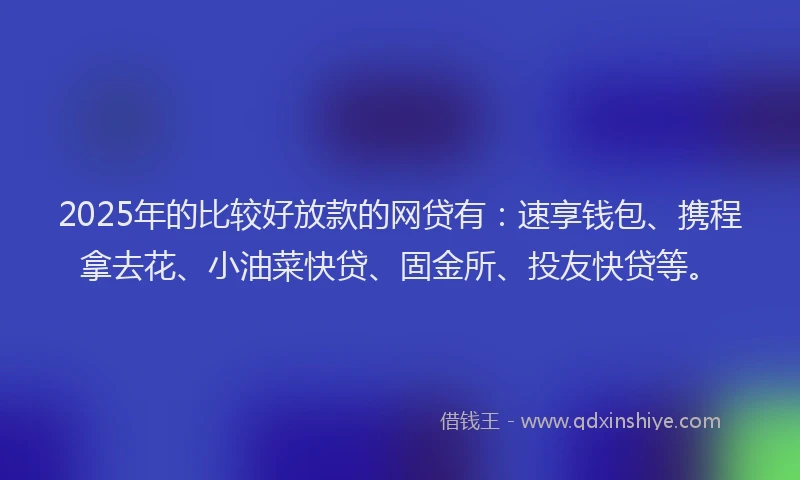 2025年的比较好放款的网贷有：速享钱包、携程拿去花、小油菜快贷、固金所、投友快贷等。