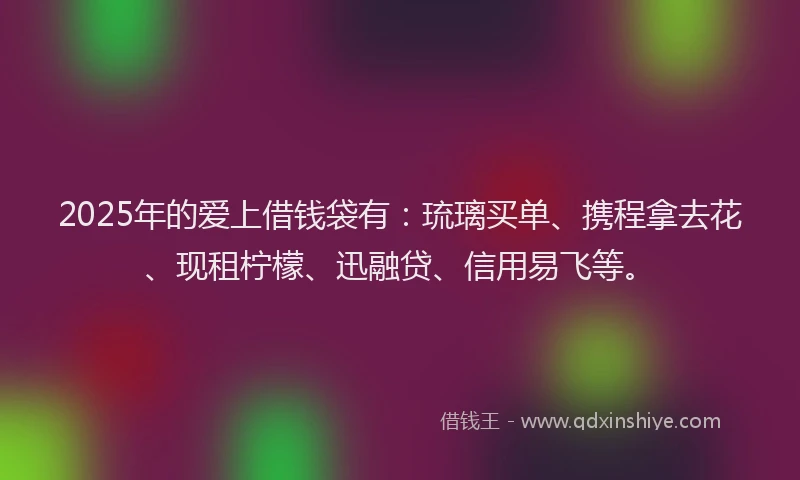 2025年的爱上借钱袋有：琉璃买单、携程拿去花、现租柠檬、迅融贷、信用易飞等。