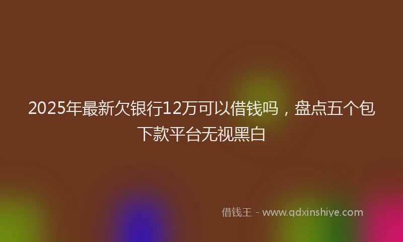 2025年最新欠银行12万可以借钱吗，盘点五个包下款平台无视黑白