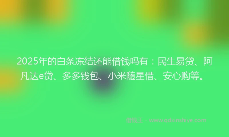 2025年的白条冻结还能借钱吗有：民生易贷、阿凡达e贷、多多钱包、小米随星借、安心购等。