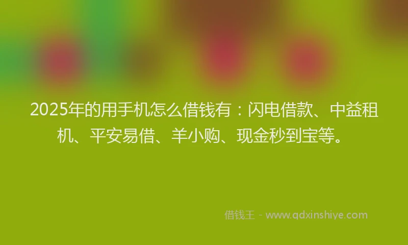 2025年的用手机怎么借钱有：闪电借款、中益租机、平安易借、羊小购、现金秒到宝等。