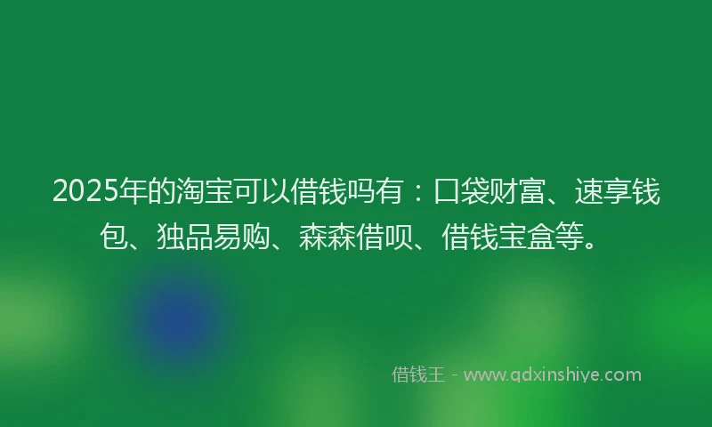2025年的淘宝可以借钱吗有：口袋财富、速享钱包、独品易购、森森借呗、借钱宝盒等。