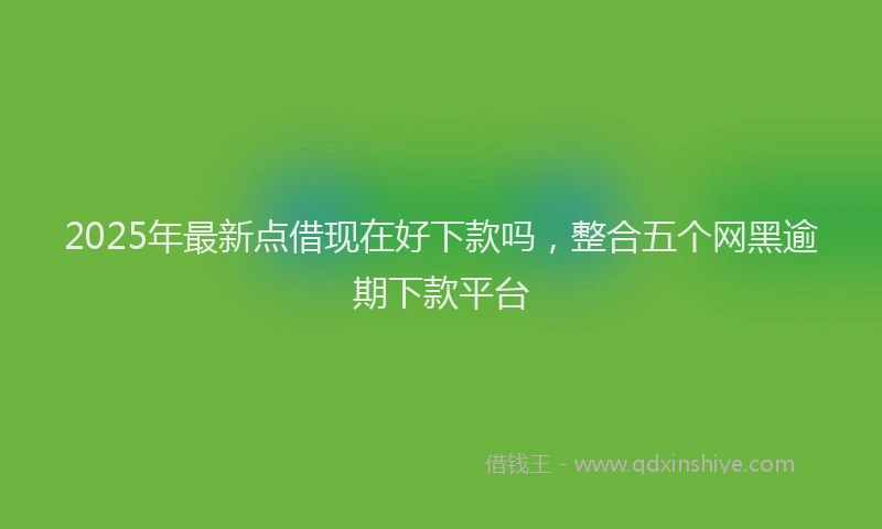 2025年最新点借现在好下款吗，整合五个网黑逾期下款平台