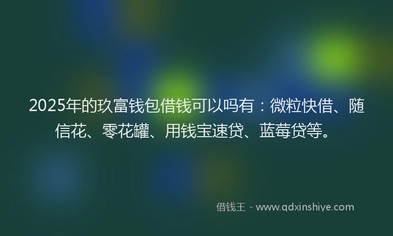 2025年的玖富钱包借钱可以吗有：微粒快借、随信花、零花罐、用钱宝速贷、蓝莓贷等。