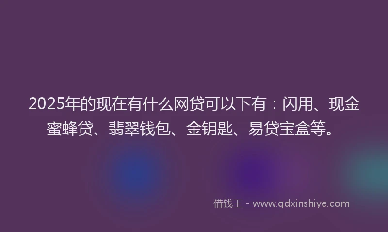 2025年的现在有什么网贷可以下有：闪用、现金蜜蜂贷、翡翠钱包、金钥匙、易贷宝盒等。