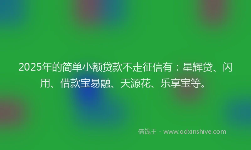 2025年的简单小额贷款不走征信有：星辉贷、闪用、借款宝易融、天源花、乐享宝等。