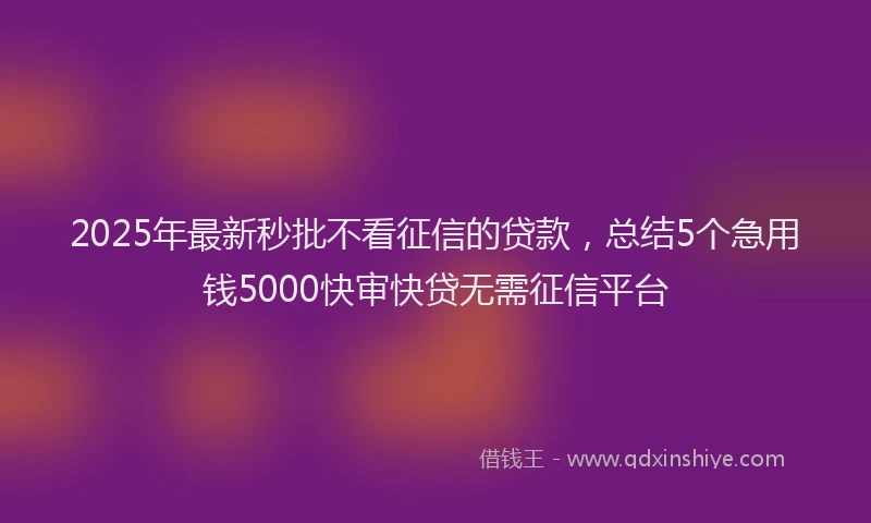 2025年最新秒批不看征信的贷款，总结5个急用钱5000快审快贷无需征信平台