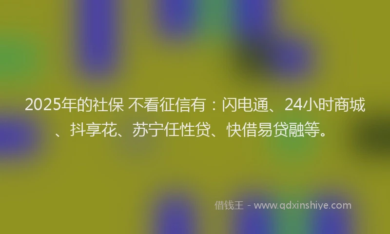 2025年的社保 不看征信有：闪电通、24小时商城、抖享花、苏宁任性贷、快借易贷融等。