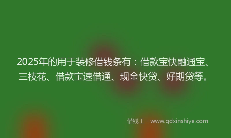 2025年的用于装修借钱条有：借款宝快融通宝、三枝花、借款宝速借通、现金快贷、好期贷等。