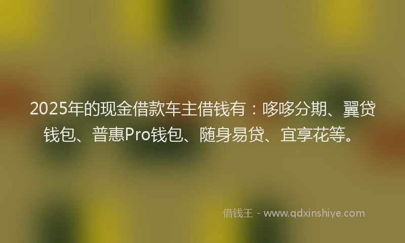 2025年的现金借款车主借钱有：哆哆分期、翼贷钱包、普惠Pro钱包、随身易贷、宜享花等。
