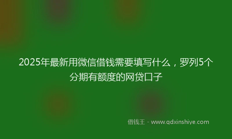 2025年最新用微信借钱需要填写什么，罗列5个分期有额度的网贷口子
