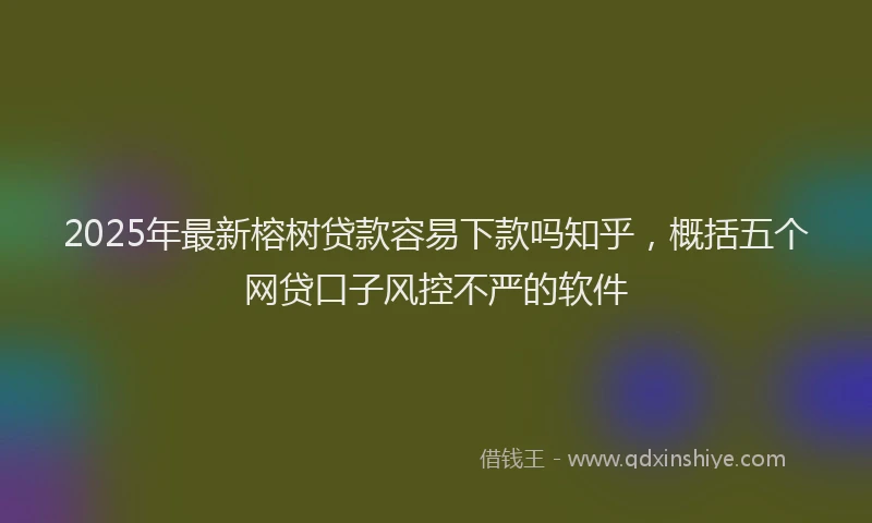 2025年最新榕树贷款容易下款吗知乎，概括五个网贷口子风控不严的软件
