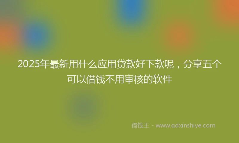 2025年最新用什么应用贷款好下款呢，分享五个可以借钱不用审核的软件