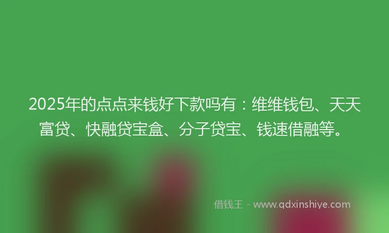 2025年的点点来钱好下款吗有：维维钱包、天天富贷、快融贷宝盒、分子贷宝、钱速借融等。
