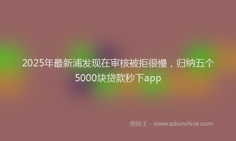 2025年最新浦发现在审核被拒很慢，归纳五个5000块贷款秒下app