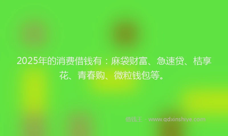 2025年的消费借钱有：麻袋财富、急速贷、桔享花、青春购、微粒钱包等。