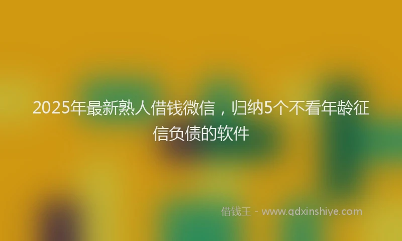 2025年最新熟人借钱微信，归纳5个不看年龄征信负债的软件