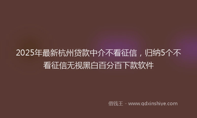 2025年最新杭州贷款中介不看征信，归纳5个不看征信无视黑白百分百下款软件