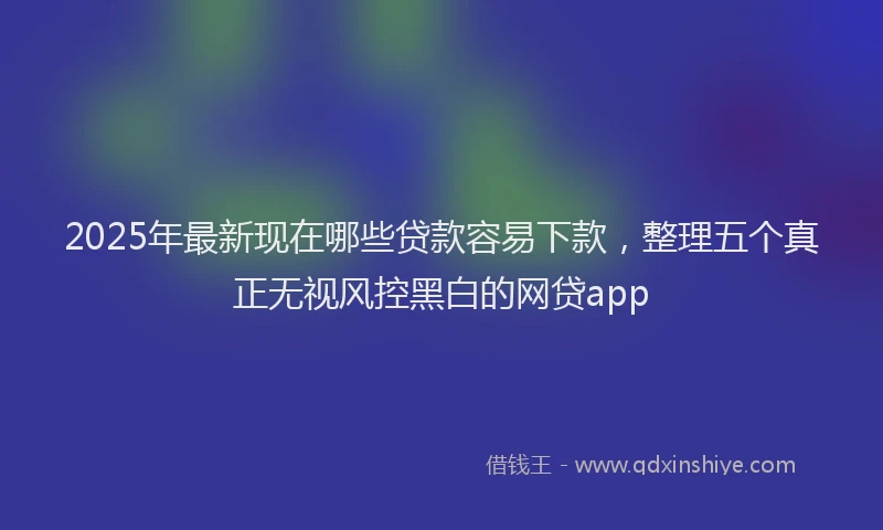 2025年最新现在哪些贷款容易下款，整理五个真正无视风控黑白的网贷app
