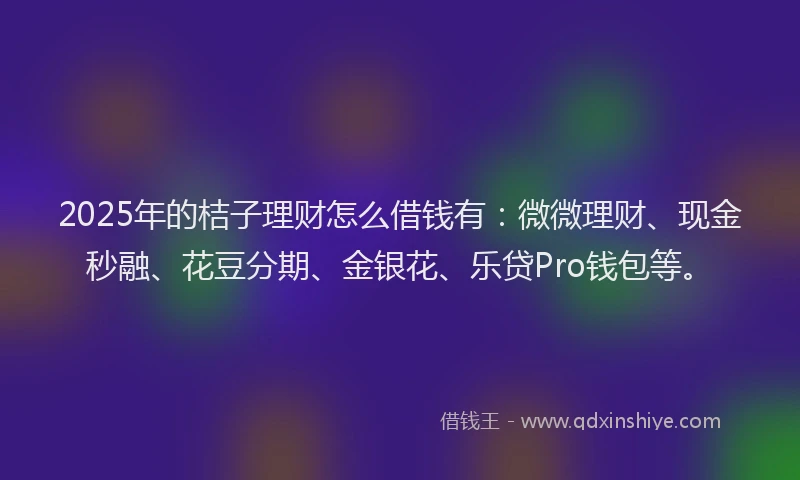 2025年的桔子理财怎么借钱有：微微理财、现金秒融、花豆分期、金银花、乐贷Pro钱包等。