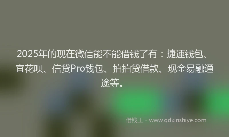 2025年的现在微信能不能借钱了有：捷速钱包、宜花呗、信贷Pro钱包、拍拍贷借款、现金易融通途等。