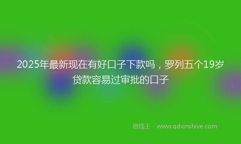 2025年最新现在有好口子下款吗，罗列五个19岁贷款容易过审批的口子