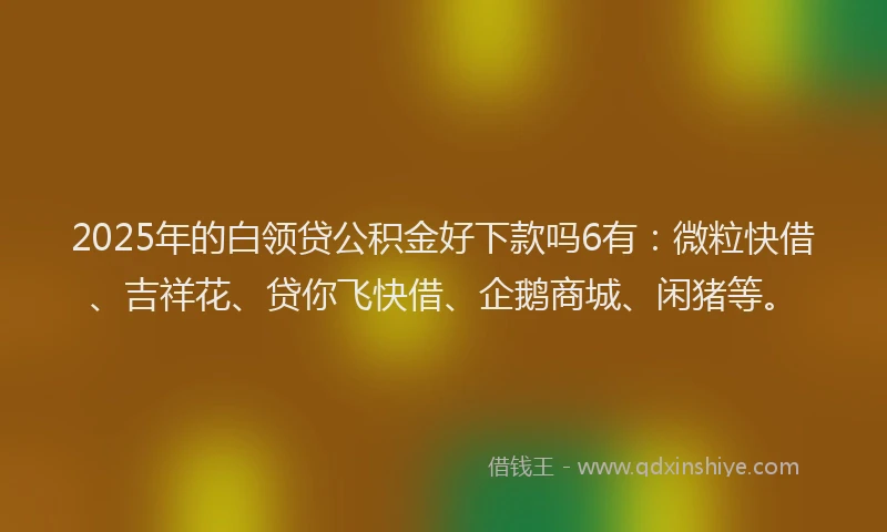2025年的白领贷公积金好下款吗6有：微粒快借、吉祥花、贷你飞快借、企鹅商城、闲猪等。