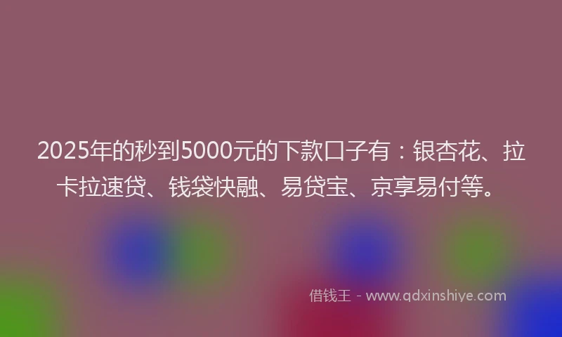 2025年的秒到5000元的下款口子有：银杏花、拉卡拉速贷、钱袋快融、易贷宝、京享易付等。